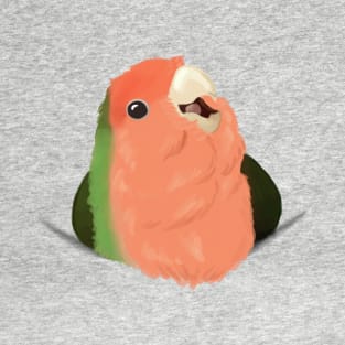 Giant pocket birb T-Shirt